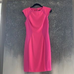 Beautiful hot pink Ted Baker fitted sheath dress